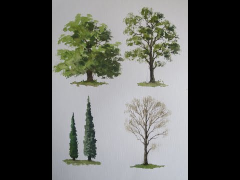 How to paint Scottish  trees in watercolour for complete beginners