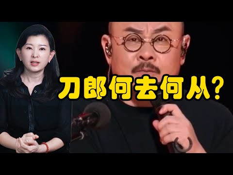 新疆演唱会收官后，刀郎何去何从？