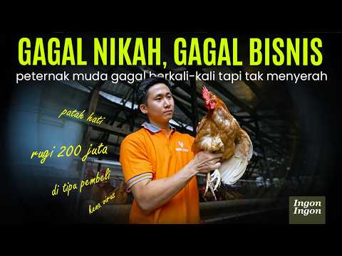 Lulus Kuliah Bingung Cari Kerja, Nekat Ternak Ayam Berujung Rugi Ratusan Juta