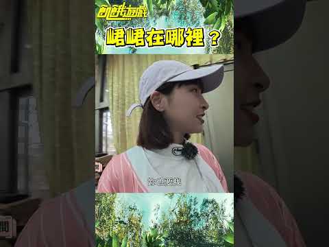 峮峮在哪裡?【飢餓遊戲】#shorts #hungergames #飢餓遊戲 #孫協志 #王仁甫 #許孟哲 #蔡黃汝 #峮峮 #馬幼興 #江宏傑 #無尊 #林彥君 #Miusa妙莎