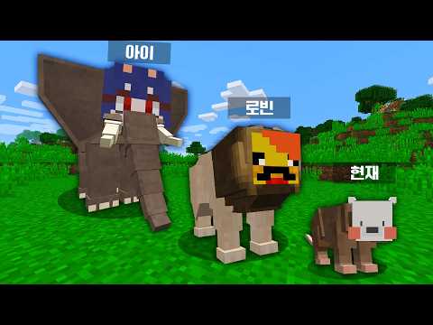 Wild animal transformation