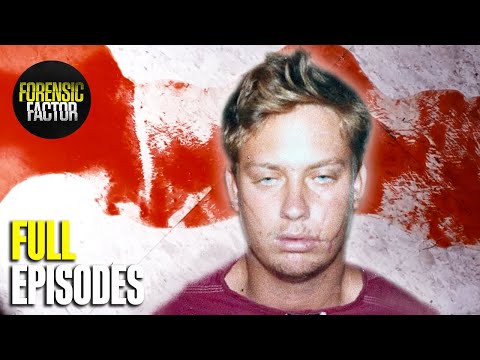 4 Hours of Brutal Murders to Fall Asleep To | Season 2 Marathon (All Episodes) | Forensic Factor