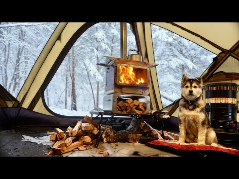 Cozy Winter Camping with My Dog