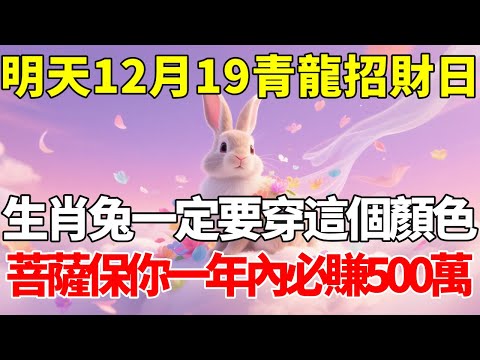生肖兔必看！百年難遇，明天12月19日，農曆十月三十是「青龍招財日」，一定要記得穿這個顏色的衣服，菩薩保你一年內必賺500萬，再倒楣也能逆天改命！【慧安說禪】#生肖 #財運 #運勢 #屬相 #風水