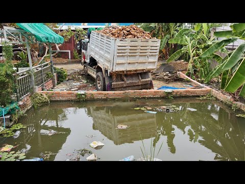 Show Nicely Job !! Excellent Trucks NISSAN drop soil delete pond and push by Dozer KomatSu