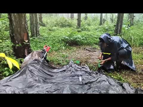 OMG❗VERY HEAVY RAIN AND THUNDERSTORMS AT THE CAMPSITE ⛈️ CAMPING IN HEAVY RAIN AND FLOODS (ASMR)