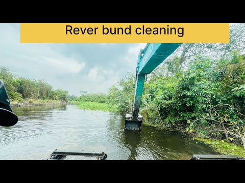Watch how an Amphibious Excavator cleans a river filled with overgrown reeds and floating plants.💪💪