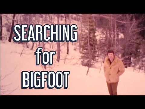 🌲🦍🌲 KCRA Special - "Bigfoot," 1975