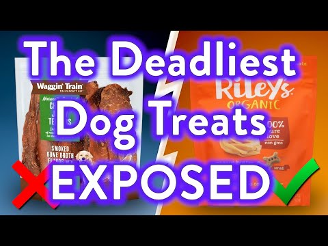 9 Dog Treats To AVOID And The 2 That Are Worth It