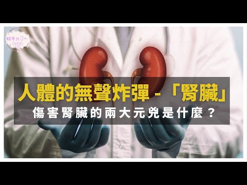 【傷腎兇手】人體的無聲炸彈「腎臟」－傷害腎臟的兩大元兇是什麼？吃哪類食物才能有漂亮的腎指數？｜健康直播精華｜賴宇凡Sara