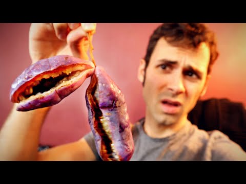 AKEBIA - Tasting One of the World's Weirdest Fruits! (Chocolate Vine) - Review & How to Use it!