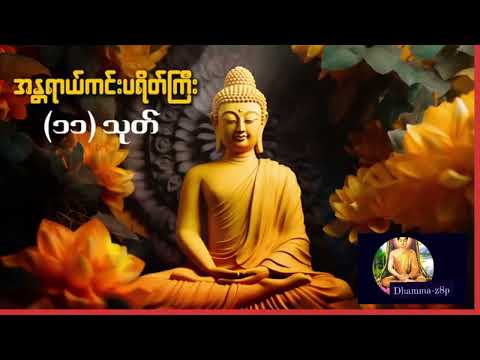 အန္တရာယ်ကင်း ပရိတ်ကြီး (၁၁)သုတ်#တရားတော်များ #ညတိုင်းဖွင့် #dhamma #