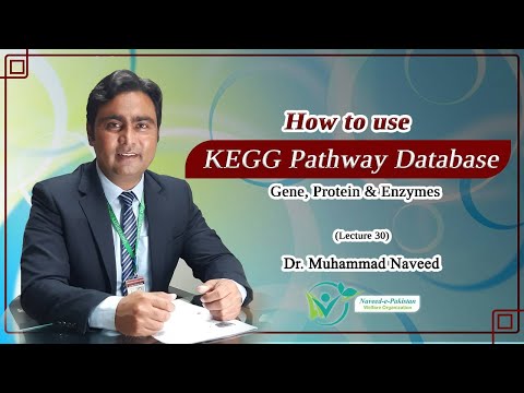 KEGG Pathway Database | Pathway analysis of Gene, Protein & Enzyme |Lecture 30 | Dr. Muhammad Naveed