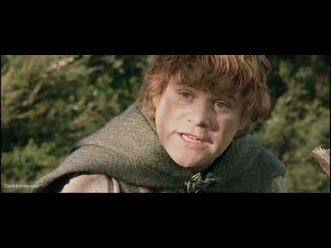 The Lord of the Rings trilogy but it's just the memes