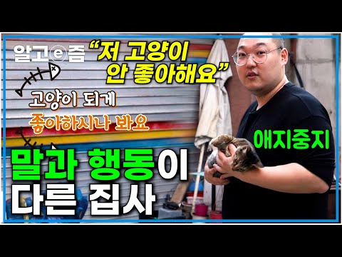"고양이 원래 싫어해요" 길고양이 안 좋아하는데 좋아하는 언행일치 안되는 집사의 고양이 사랑┃고양이를 부탁해┃알고e즘