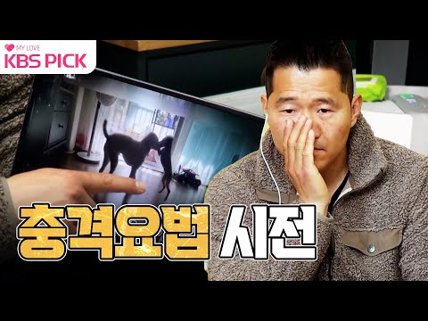 [#개는훌륭하다] 심각함을 전혀 모르는 보호자에게 노트북을 꺼내 충격요법 시전하는 강훈련사 🐶ㅣKBS 230102 방송