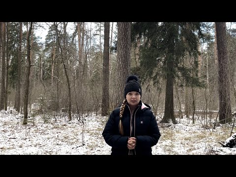 Baby Mandarin. Grafting a mandarin from the market. How to make your own citrus tree.