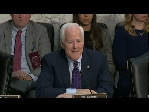 Pam Bondi asked about border security and fentanyl during confirmation hearing by John Cornyn