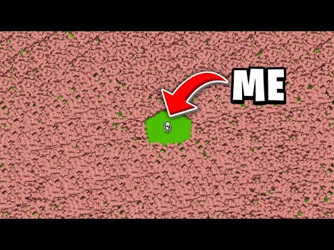 I Collected 1000 ARMADILLOS in Minecraft Hardcore!