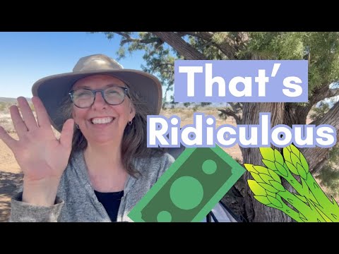 Learn English with a True Story | That's Outrageous