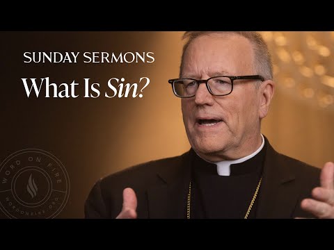 What Is Sin? - Bishop Barron's Sunday Sermon