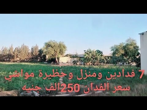 تم تجديد العرض للبيع ولكن البيت بنفس سعر الفدان 250 ألف قطعة ارض لقطه صالحه للزراعه