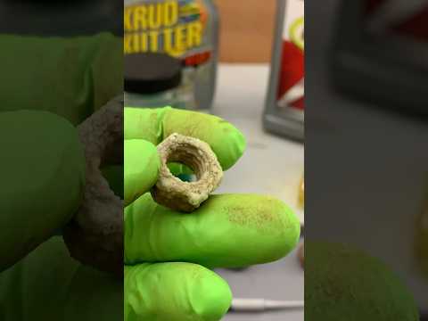 An Ultrasonic Cleaner Vs Crusty Nuts