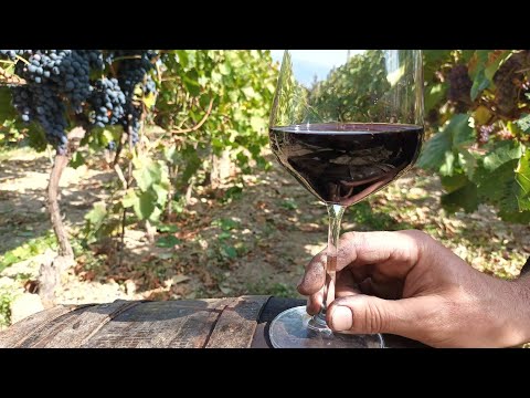 Традиционно домашно вино, такова каквото го правеше дядо.