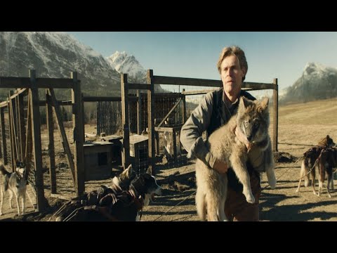 كلب من صغره عايز يبقي زعيم قطيع الكلاب بس صاحبه مكنش شايف كدا (قصة حقيقية)