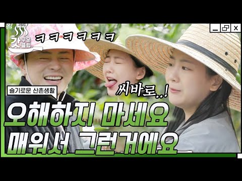 [#슬기로운산촌생활] 고추밭 체험에서 냅다 비명 지른 조이현?🔥 조정석 작업반장님이 데리고 간 고추밭 체험에서 대체 뭔 일이..😨 | #갓구운클립 #Diggle