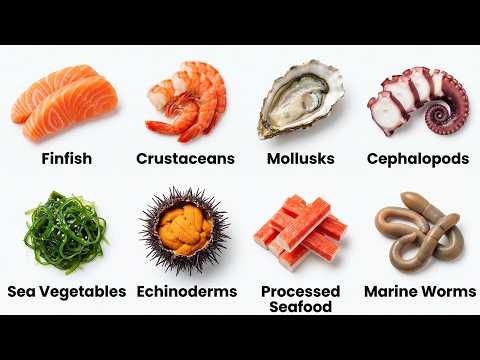 Every Kind of Seafood Explained