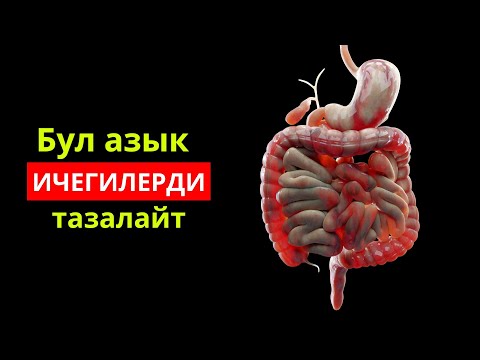 Ичегиге эң пайдалуу азык