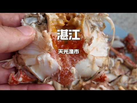 湛江凌晨魚市碼頭搶海鮮，70兩大隻膏肥肉甜的冬蟹，再加25一碗的海鮮粥，真是吃爽了【野文不懂吃】