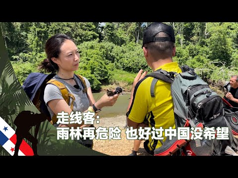 走线客：雨林再危险也好过中国没希望