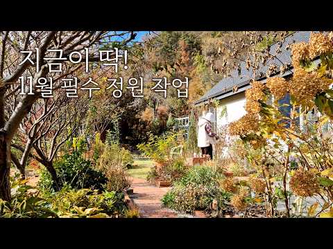 Essential Garden Tasks for November! Pruning Timing and Bulb Planting Tips