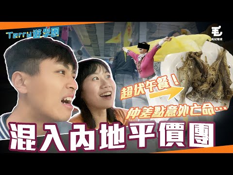 混入$409內地平價團!差點遭遇亡命意外⋯? 22/4《Terry遊學團》 兩日一夜平價團全體驗