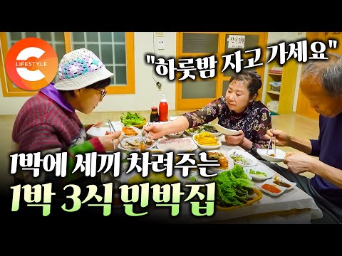 남편은 배 타고 물고기 잡고, 아내는 그걸로 밥상을 차렸더니 사람들이 일부러 찾아온다ㅣ선착장에 내리자마자 밥부터 먹으라고 해산물 풀코스로 대접하는 1박 3식 민박집ㅣ#한국기행