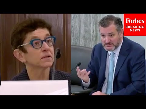 'Did You Disclose The $700,000 Secret Settlement?': Ted Cruz Grills Biden Nominee Over Past Work