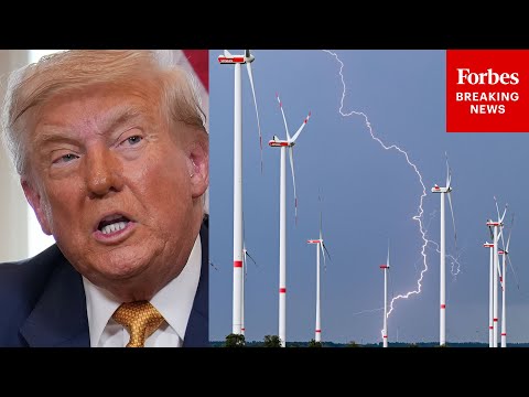 Trump Goes On Sudden Tirade Against Windmills During Meeting With EU President Ursula Von Der Leyen