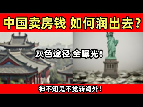 把中国房子卖了，钱怎么悄无声息润出去？｜ 蚂蚁搬家、人肉带现、保险退保、比特币、买金条全曝光｜中国卖房资金润到国外的终极指南！2025外管局政策下，灰色玩法+移民转移大额不占额度，风险全告诉你。