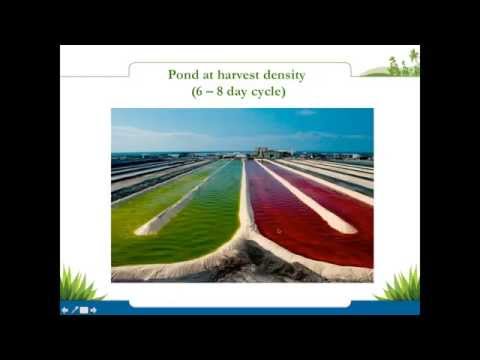 Astaxanthin Webinar -  Benefits of Taking this Powerful Antioxidant Daily | Nutrex Hawaii