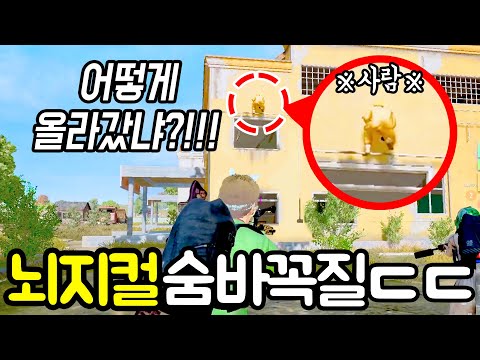 "어떻게 한거임???!" 배그 ★IQ200 시청자★ 숨바꼭질 클라쓰ㄷㄷㄷ