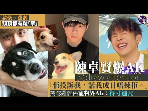 Ian陳卓賢足本訪問︱自爆不能裸睡：唔着衫會瞓唔到︱爆Anson Kong又求關注：佢投訴我，話我成日唔揀佢︱雞髀係寵物界AK：人哋都唔理佢喇，都仲要得寸進尺（ #Ian #陳卓賢 #娛壹 ）