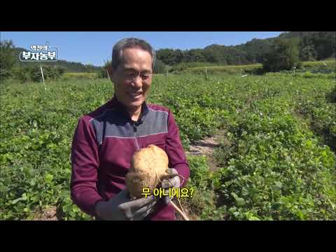 [Ep.61] Growing Mexican potatoes and growing annual sales of 180 million won, Jang Hyun-ki