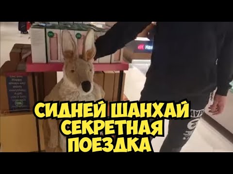 Сбылась мечта ! Еду в Корею . Австралия - Китай - Шанхай China Eastern Airlines . Сюрприз в самолёте