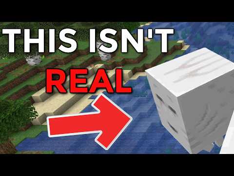 Can YOU Figure out what's wrong with these Minecraft Images?