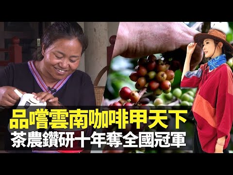 無窮之路｜陳貝兒品嚐雲南普洱咖啡甲天下 茶農葉萍鑽研十年奪全國冠軍｜芒冒村佤族女性封建禁出門 不理白眼帶頭村落脫貧 ｜充分利用黃金咖啡種植帶優勢 獲國際認證出口往日本、美國