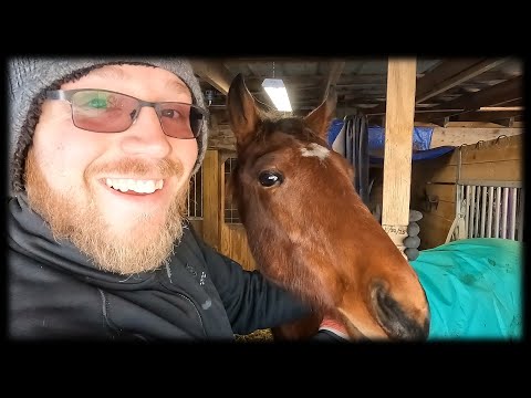 Snow & Ice Add New Challenges For Our Stable