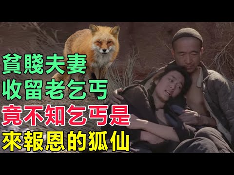 民間故事：老乞丐得到貧賤夫妻收留，沒想到乞丐是狐仙，它來報恩