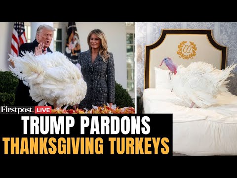 Trump Turkey Pardon LIVE: Donald Trump Pardons Turkeys on Thanksgiving | Presidential Turkey Pardon